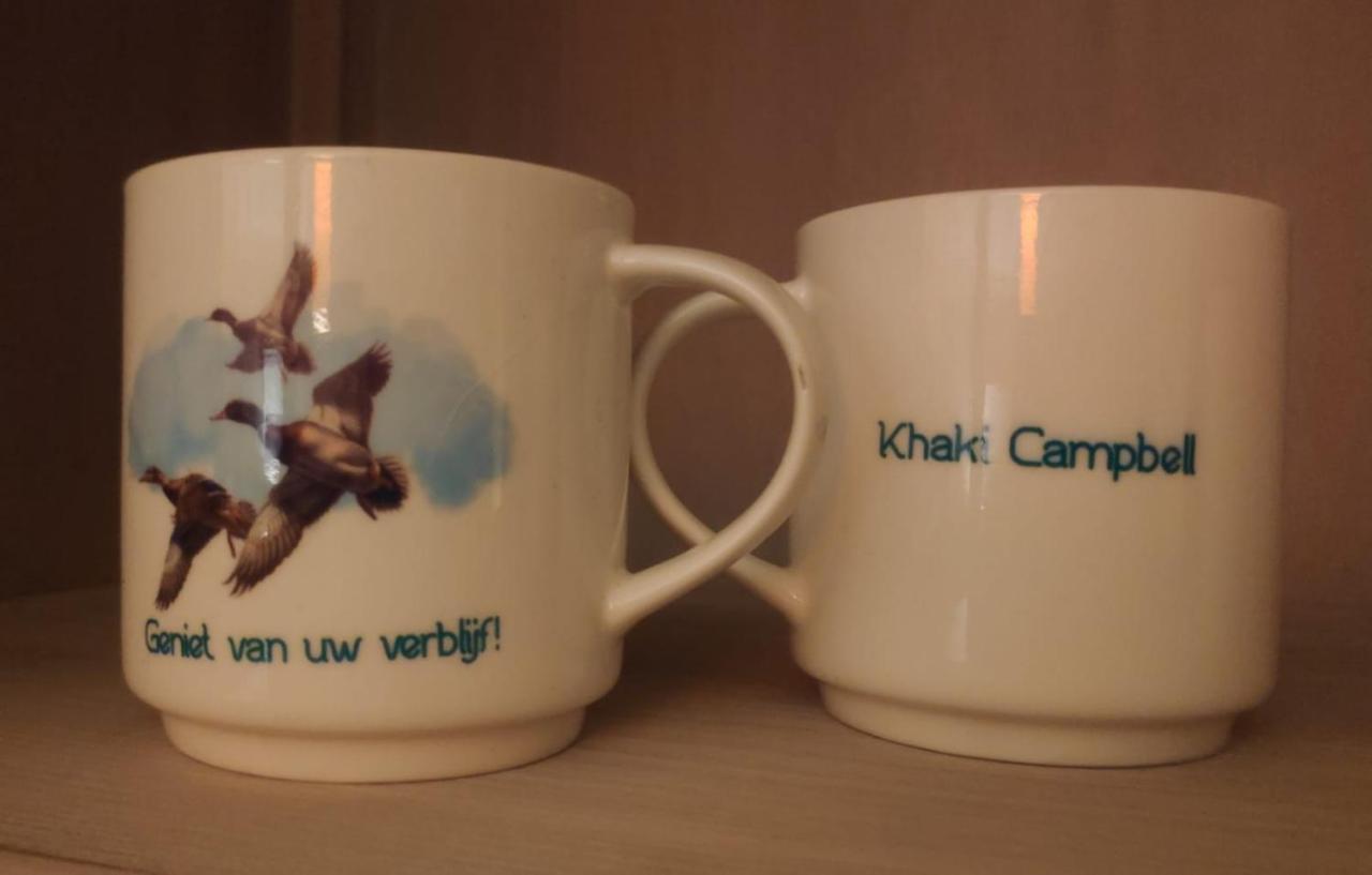에르멜로 Khaki Campbell 빌라 외부 사진